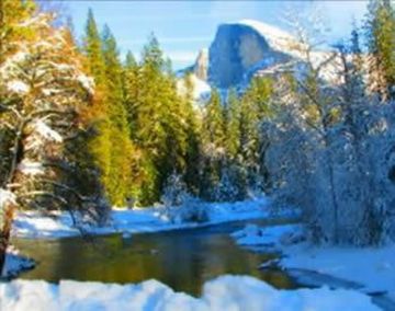 trips yosemite-private-tour.jpg